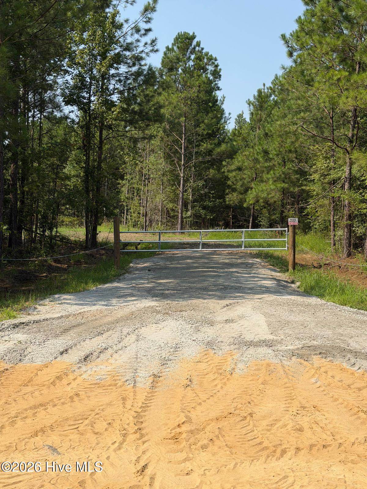 0 Netherland Road - Photo 1