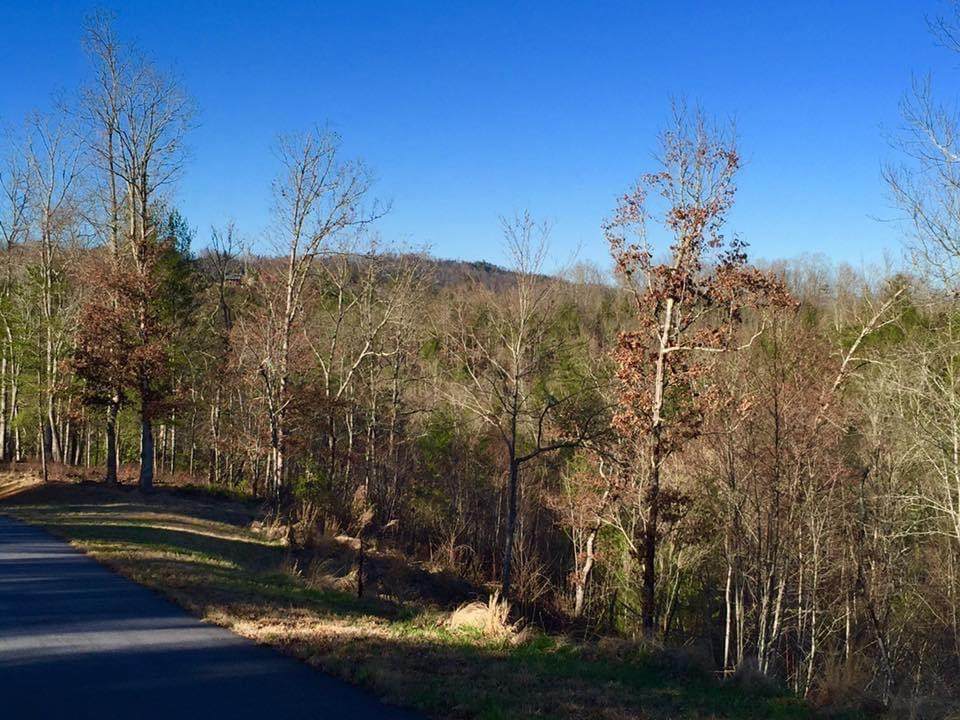 Lot #94 River Mountain Road - Photo 1