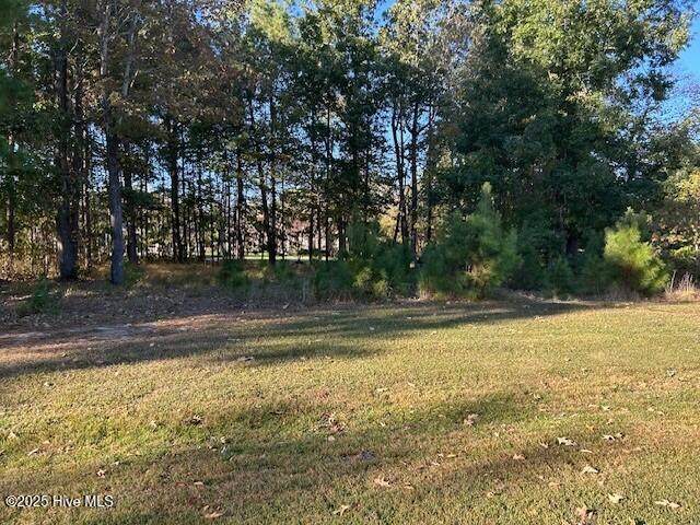 Lot 14 N Cape Fear Drive - Photo 1
