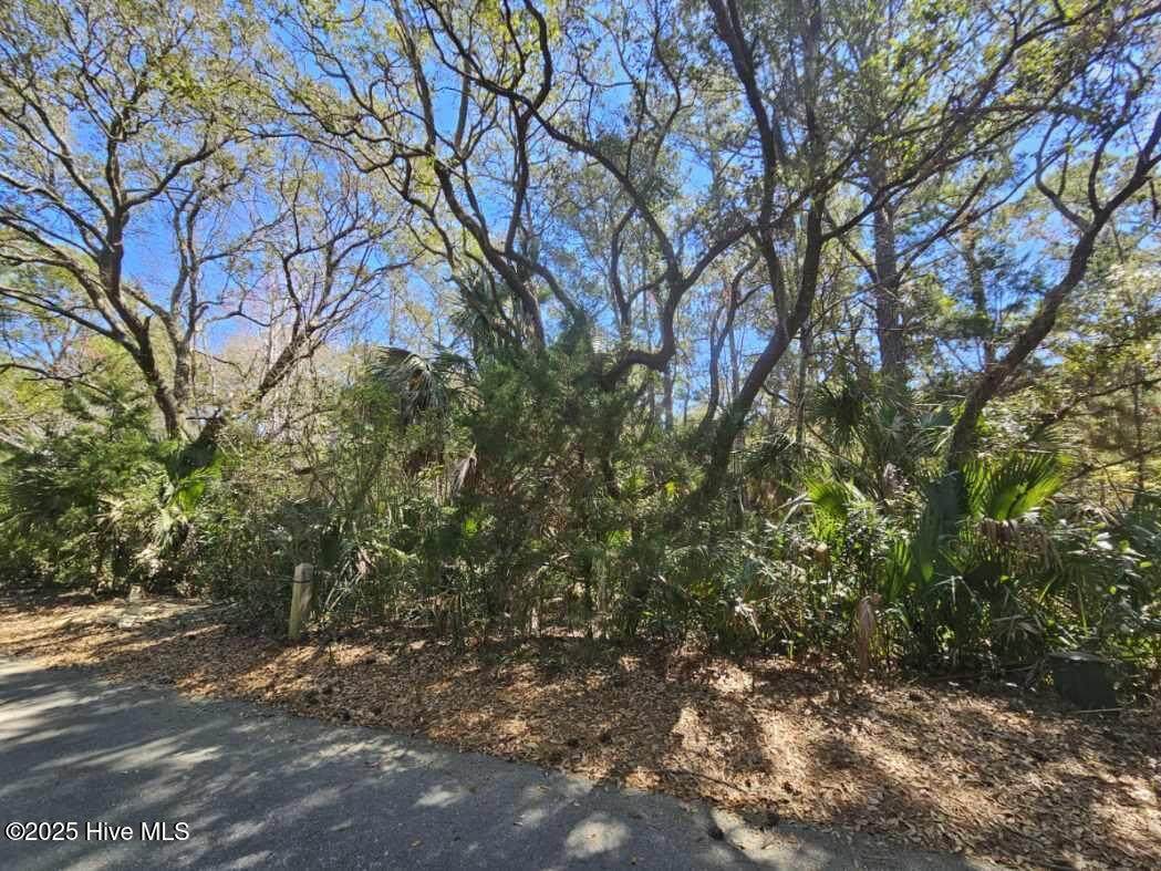 32 Dowitcher Trail - Photo 1