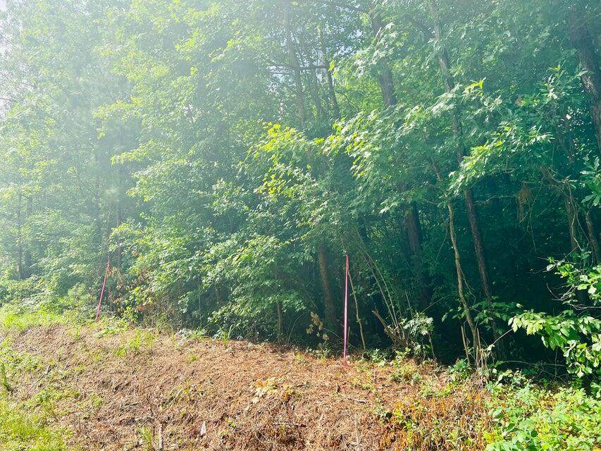 1-A New Delaughter Drive - Photo 1