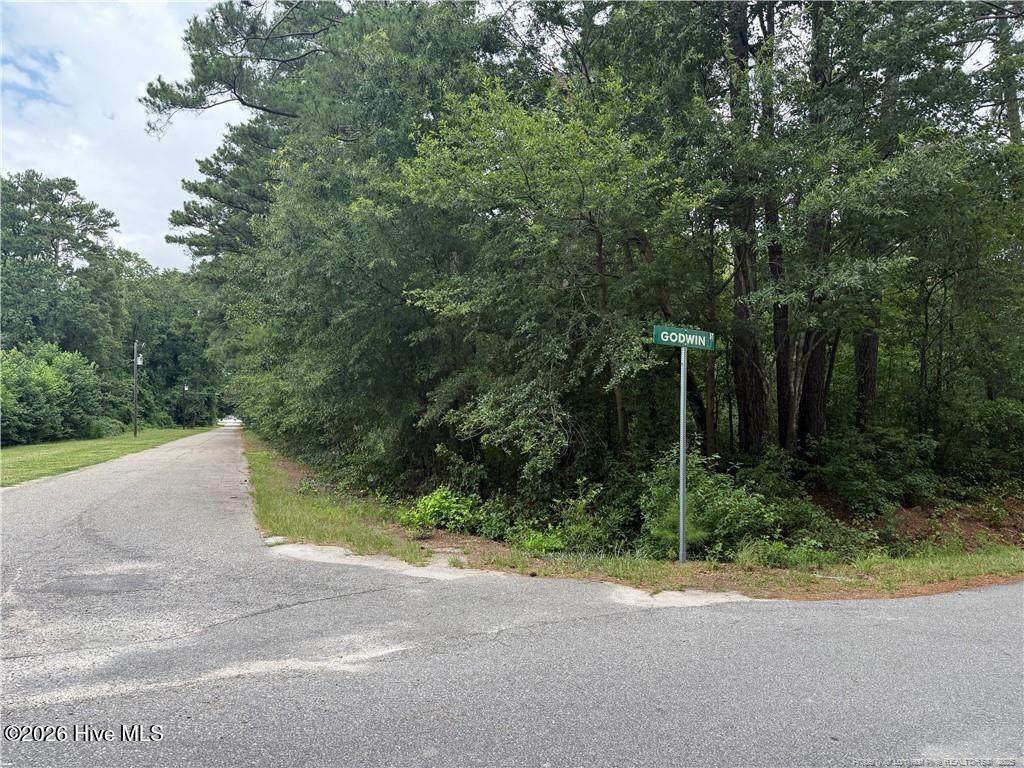 0 3rd Street - Photo 1