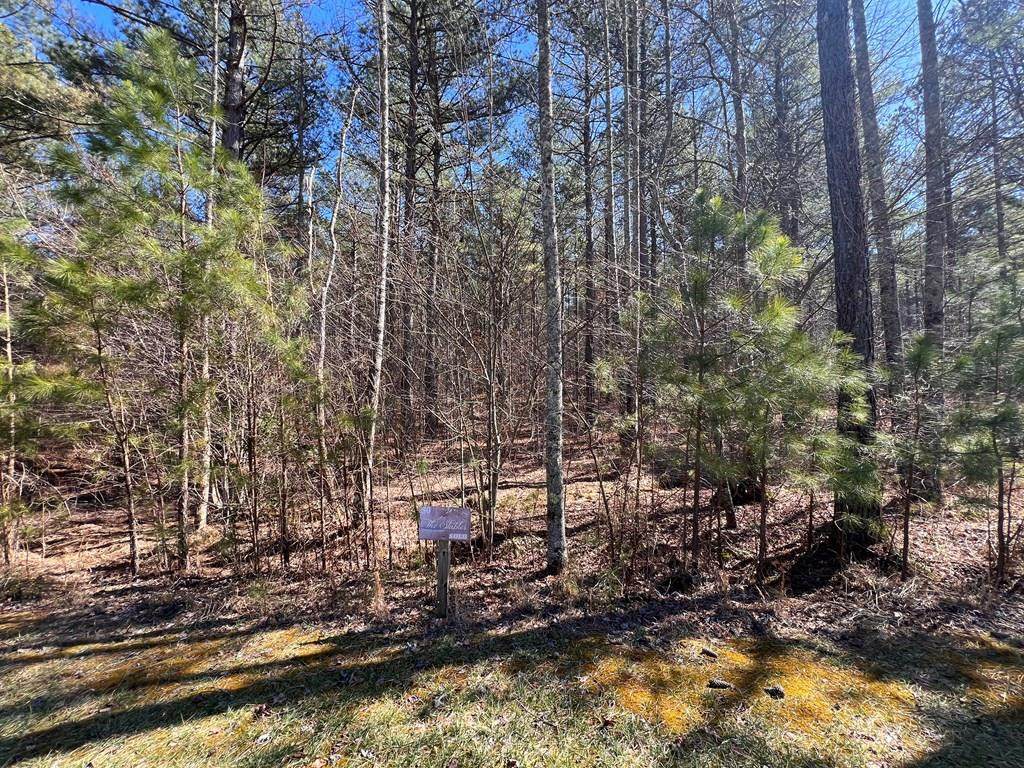 Lot 50 Deyton Drive - Photo 1