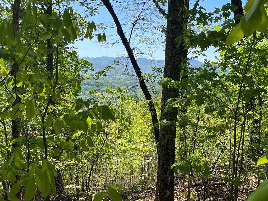 Lot 11J Ash Branch View - Photo 1
