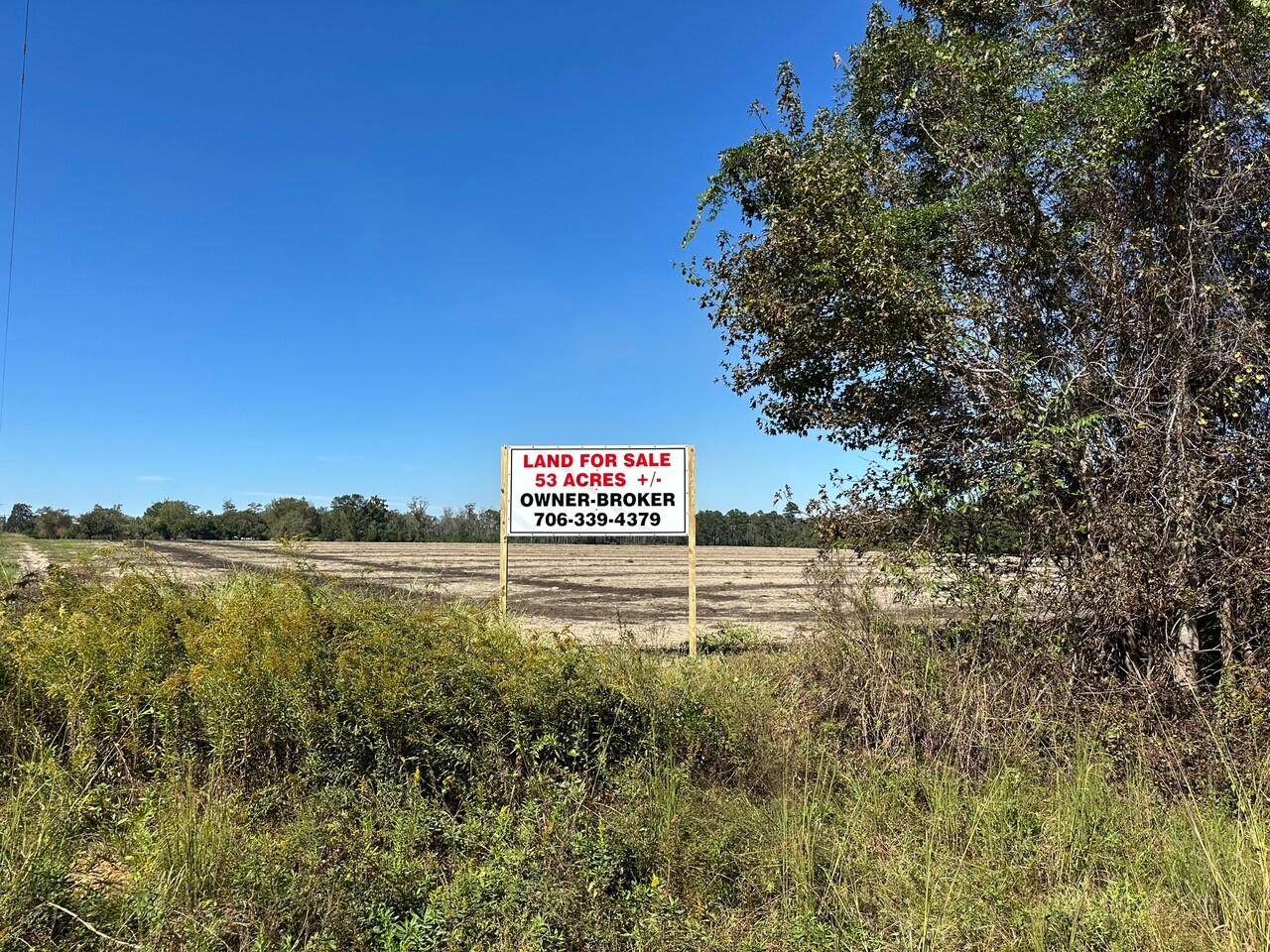 20945 Georgia 46 - Photo 1