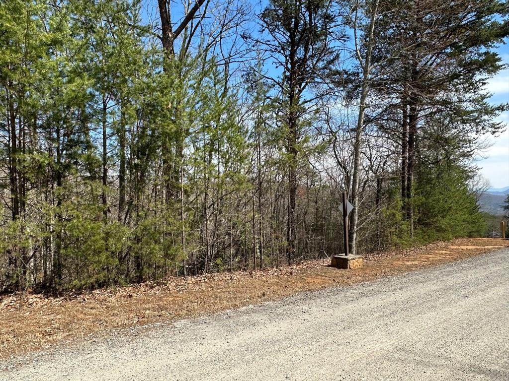 LT29 Wilderness Creek Way - Photo 1