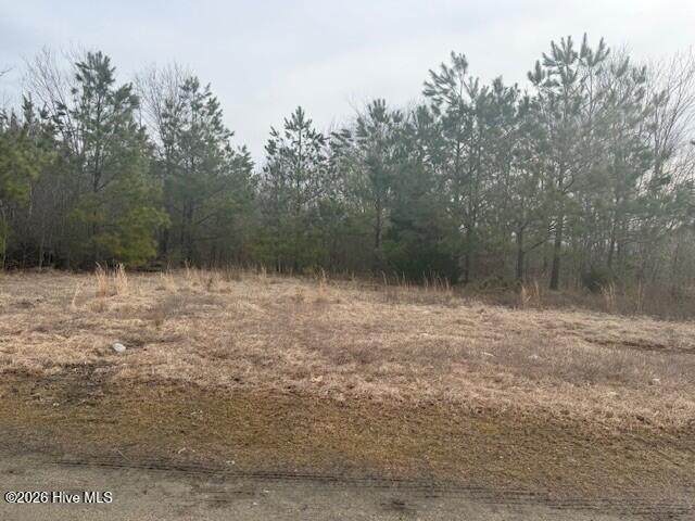 Tbd Carter Street - Photo 1