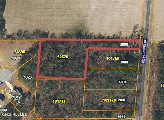3970 Ed Herring Road - Photo 1