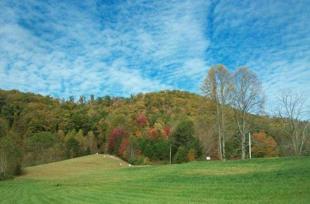 850 Bluff Road - Photo 1