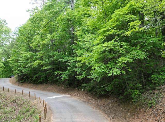 00 Dogwood Trail - Photo 1