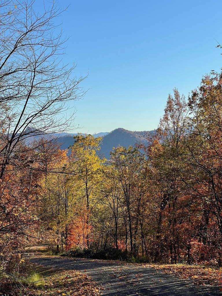 Lot 58M Ridges - Photo 1