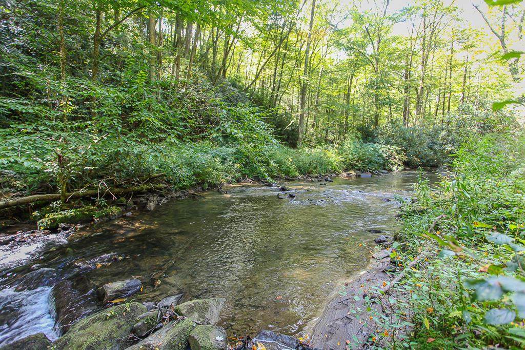 9765 Little Snowbird Road - Photo 1