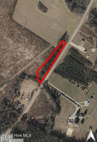 Tbd Brinkley Road - Photo 1