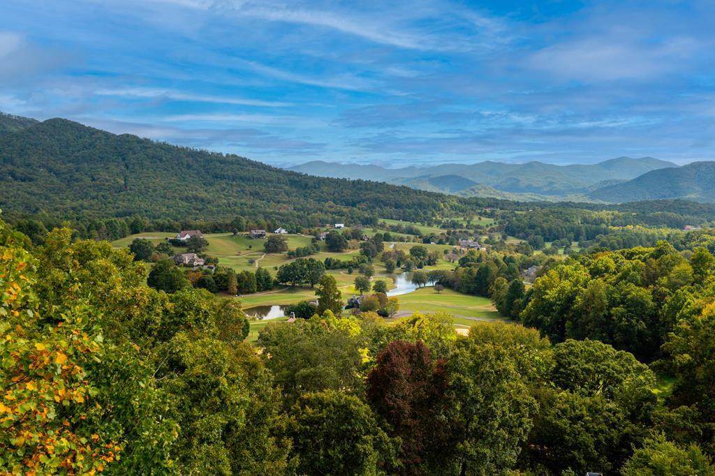 Lot 29C Indian Trail - Photo 1