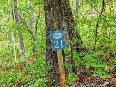 Lot 21 Skyview - Photo 1