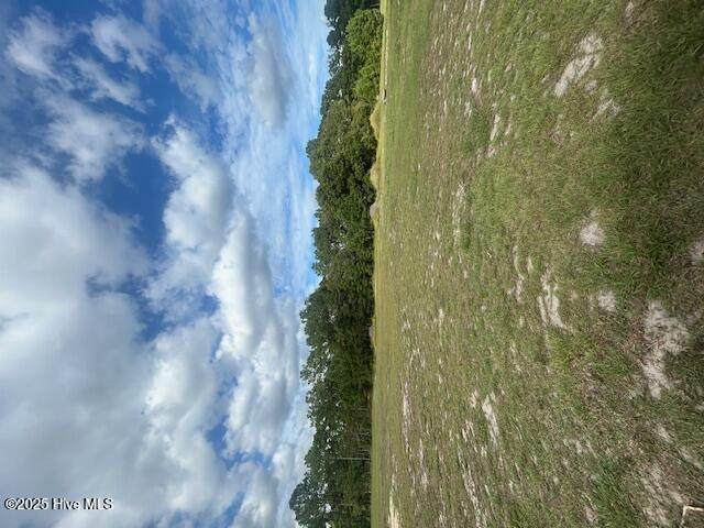 423 Morris Landing Road - Photo 1