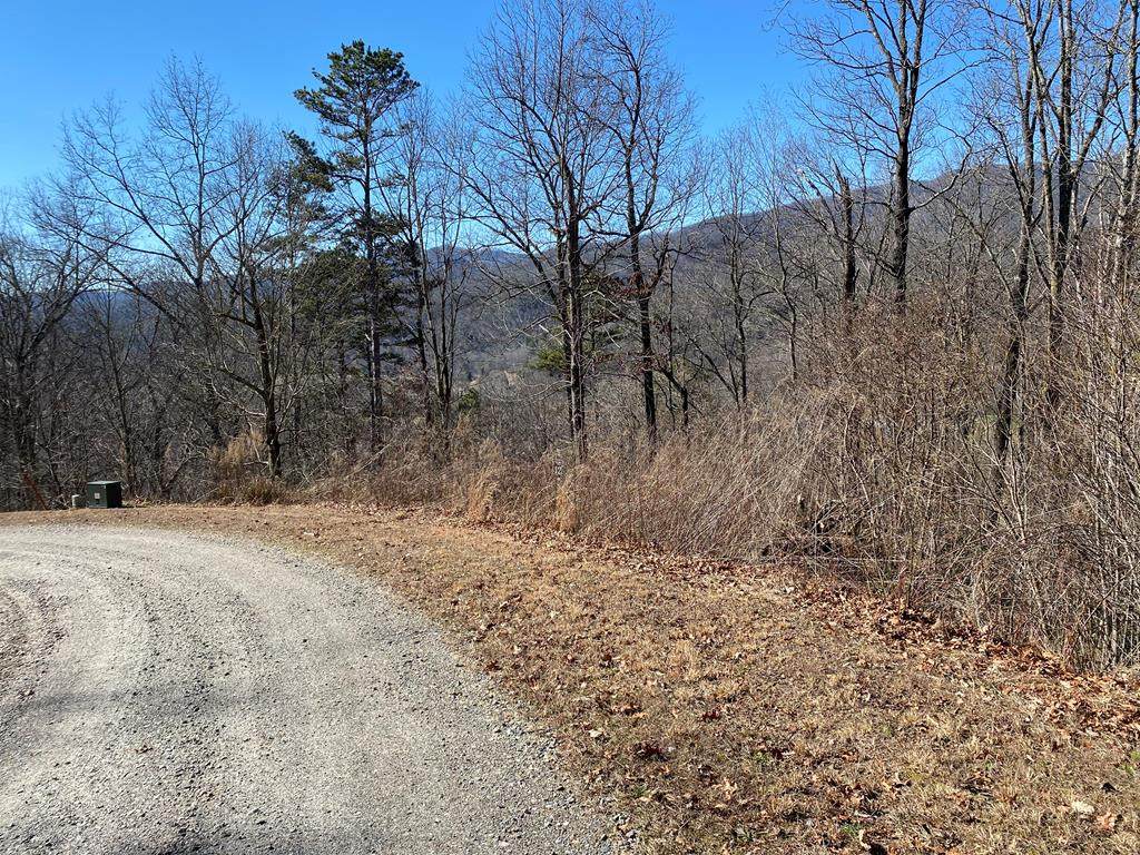 Lot 42 Silo View - Photo 1