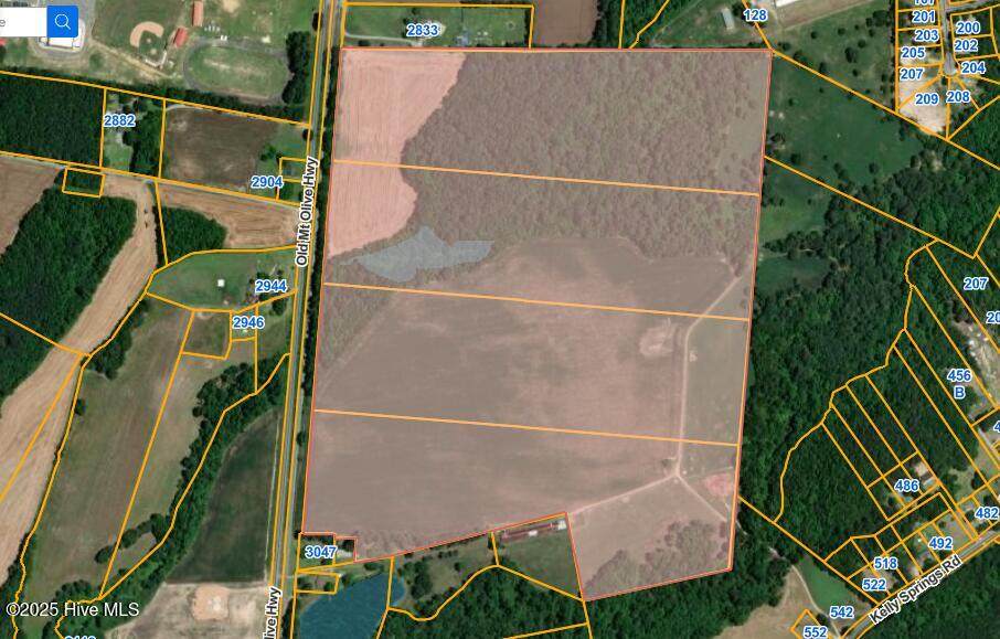 1 Old Mount Olive Highway - Photo 1