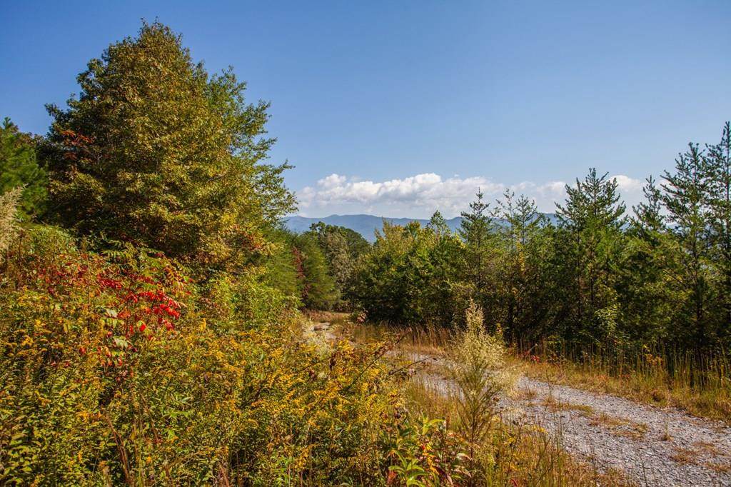 000 Mistletoe Ridge - Photo 1