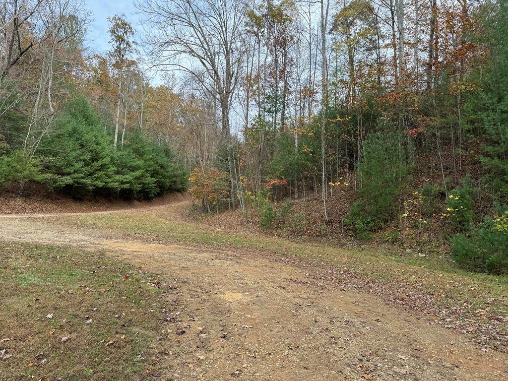 00 Heritage Trail - Photo 1