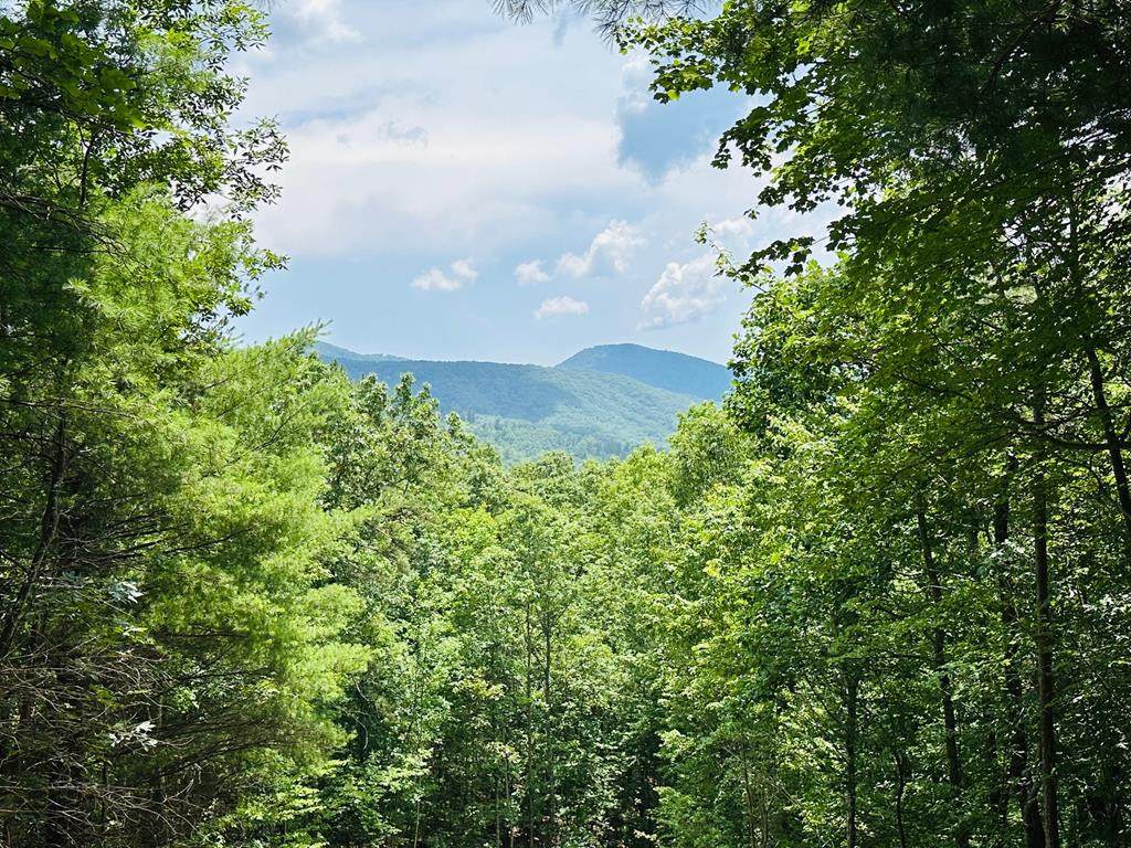 Lot 15 View Ridge Trail - Photo 1
