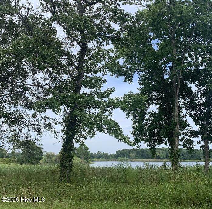 45.22 Ac Atlantic Breeze Drive - Photo 1
