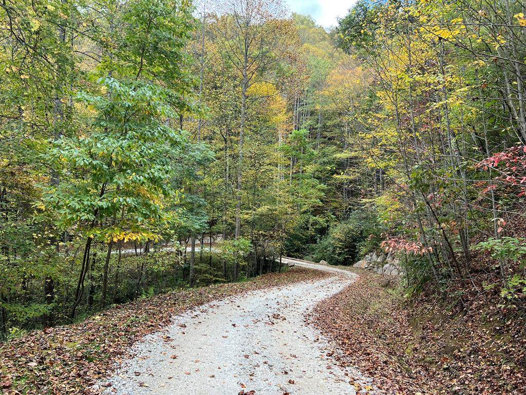 Lot 19 Preserve Valley Road - Photo 1