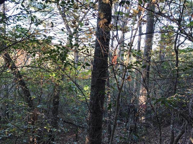 https://bt-photos.global.ssl.fastly.net/ncreg/orig_boomver_1_d86dc46e3fad2ca1559a9663840a4802-2.jpg