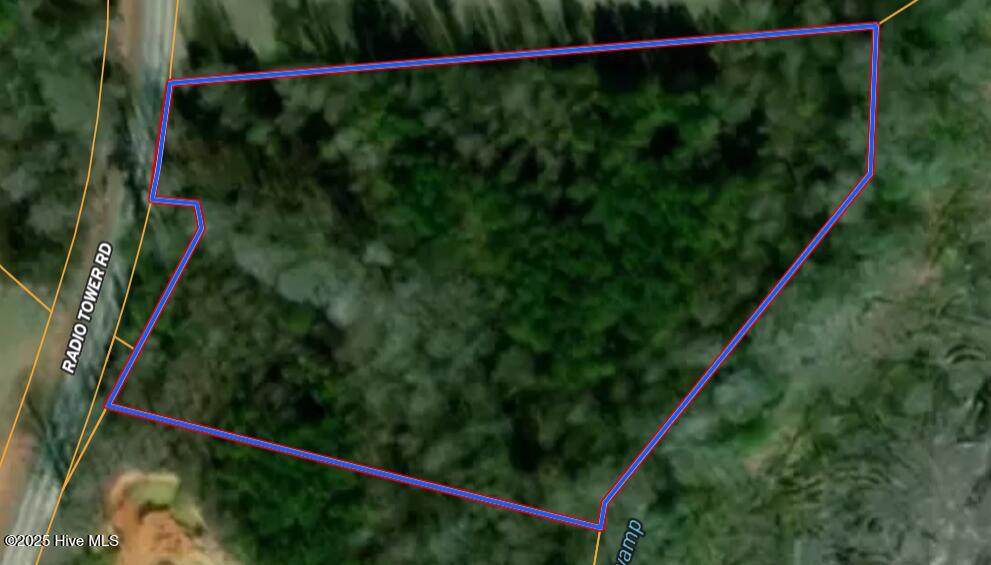 Lot 52 Radio Tower Road - Photo 1