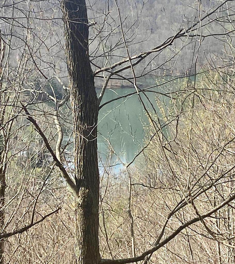 26 Hidden Falls Trail - Photo 1