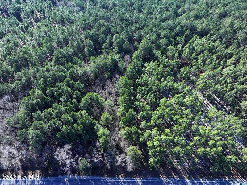 Tbd Stuarts Mill Road - Photo 1