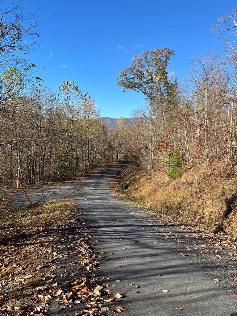 41 42 43 Ridges - Photo 1