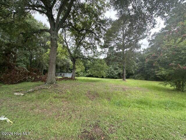 312 Carlton Street - Photo 1
