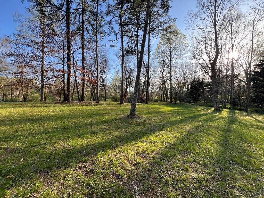 Lot 2 Preserve Road - Photo 1