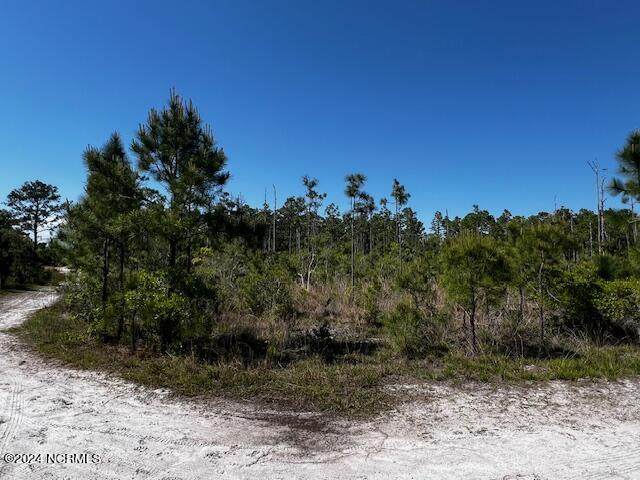Lot 81 Trevino Road - Photo 1