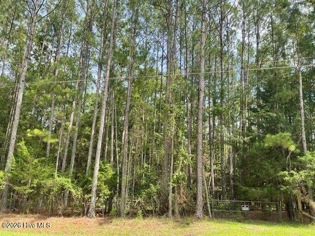 6856 Cottonwood Drive - Photo 1