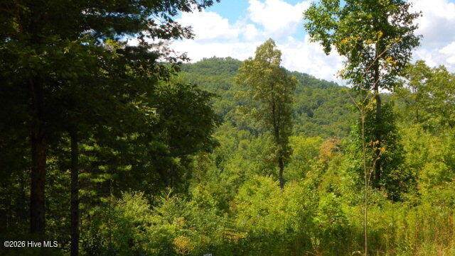 16 Tyler Ridge - Photo 1