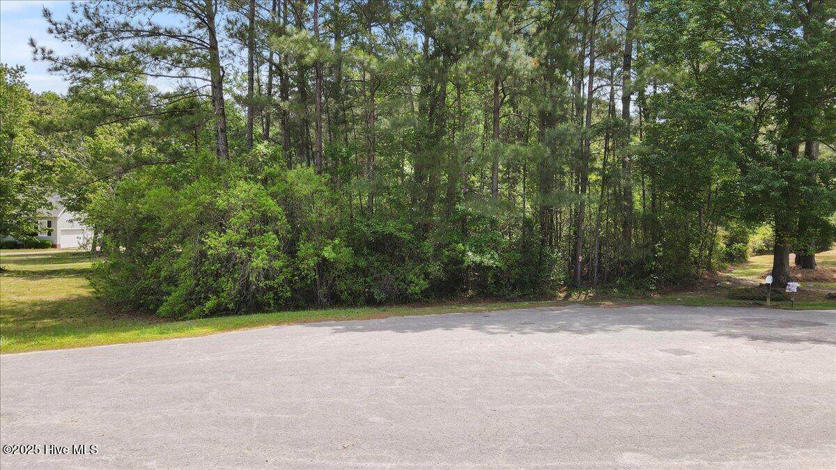 3506 Aycock Court - Photo 1