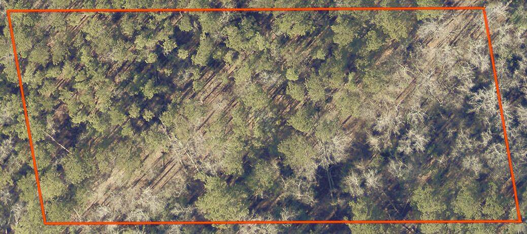 0 Dent Road - Photo 1