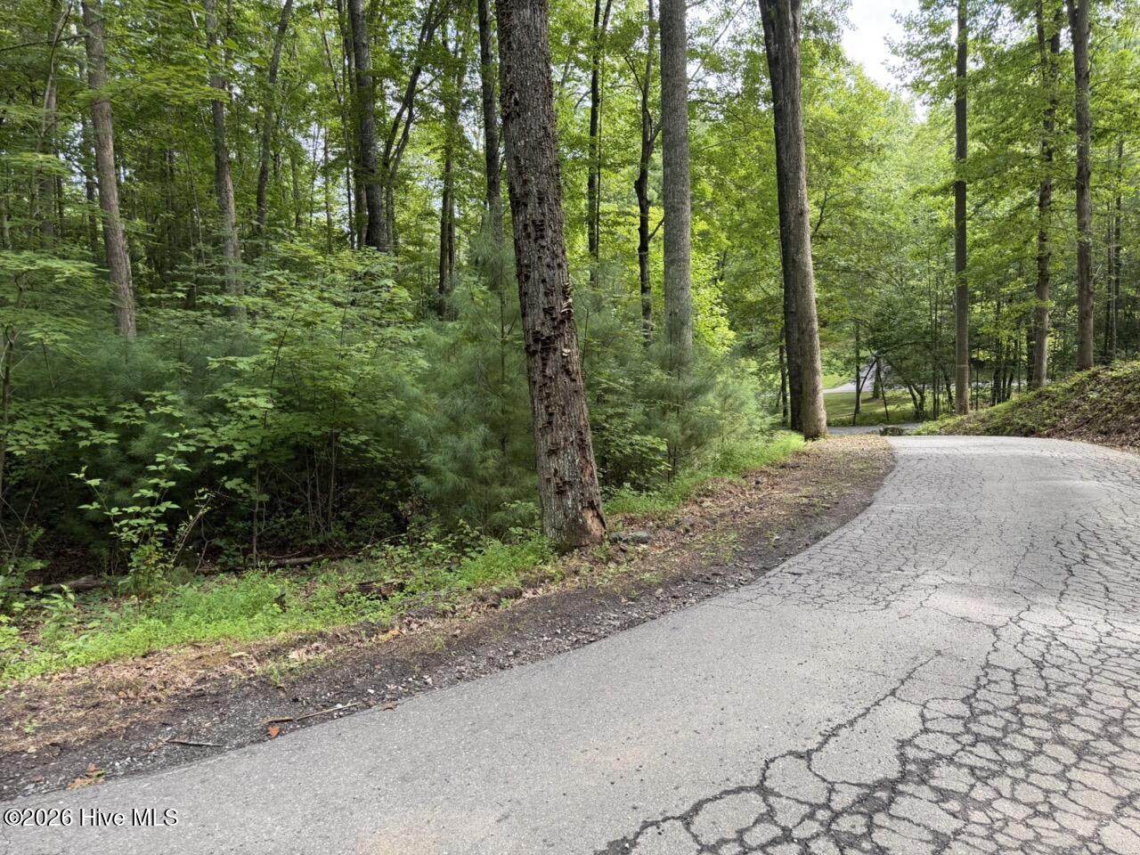 Lot 9 Confederate Circle - Photo 1