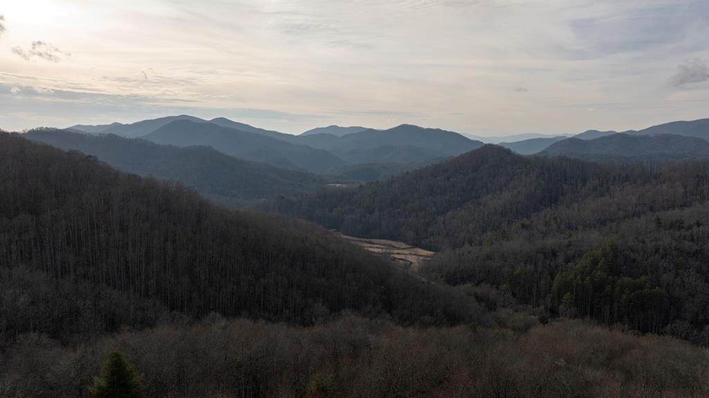 491 Otter Mountain Road - Photo 1