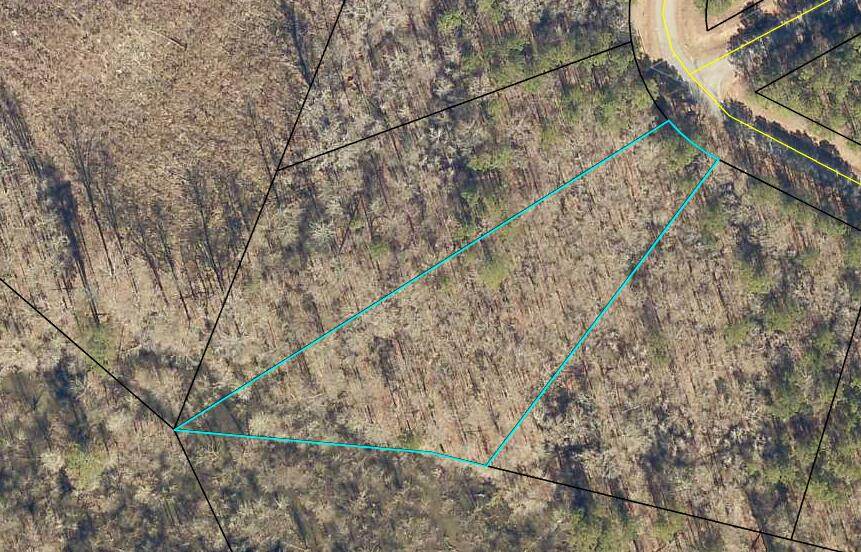 Lot 76 Plainview Drive - Photo 1
