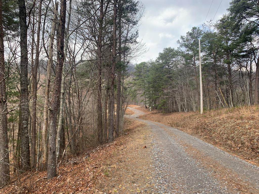Lot 20 Wolf Ridge Lane - Photo 1