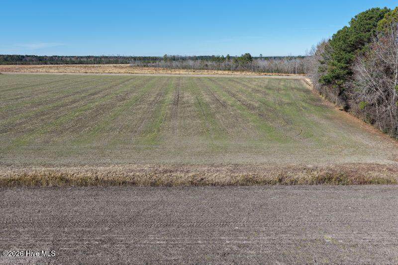 2056 Carolina 903 - Photo 1