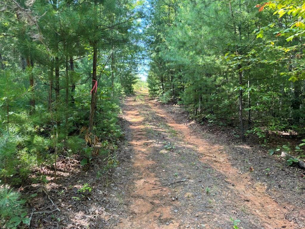 Lot 6&7 Donley Road - Photo 1