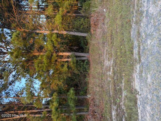 Tbd Cognac Road - Photo 1