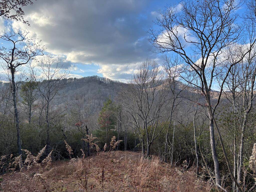 22 AC Viewforth - Photo 1