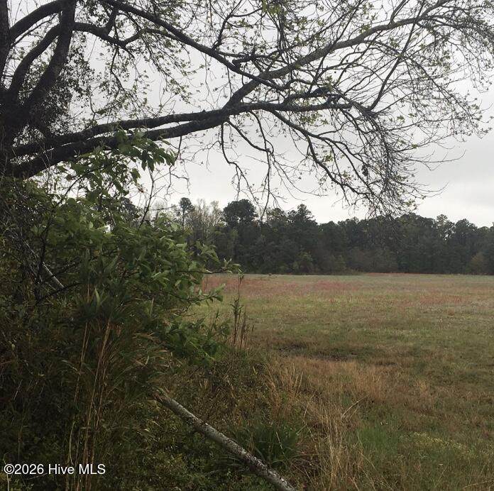 31.31 Ac Atlantic Breeze Drive - Photo 1