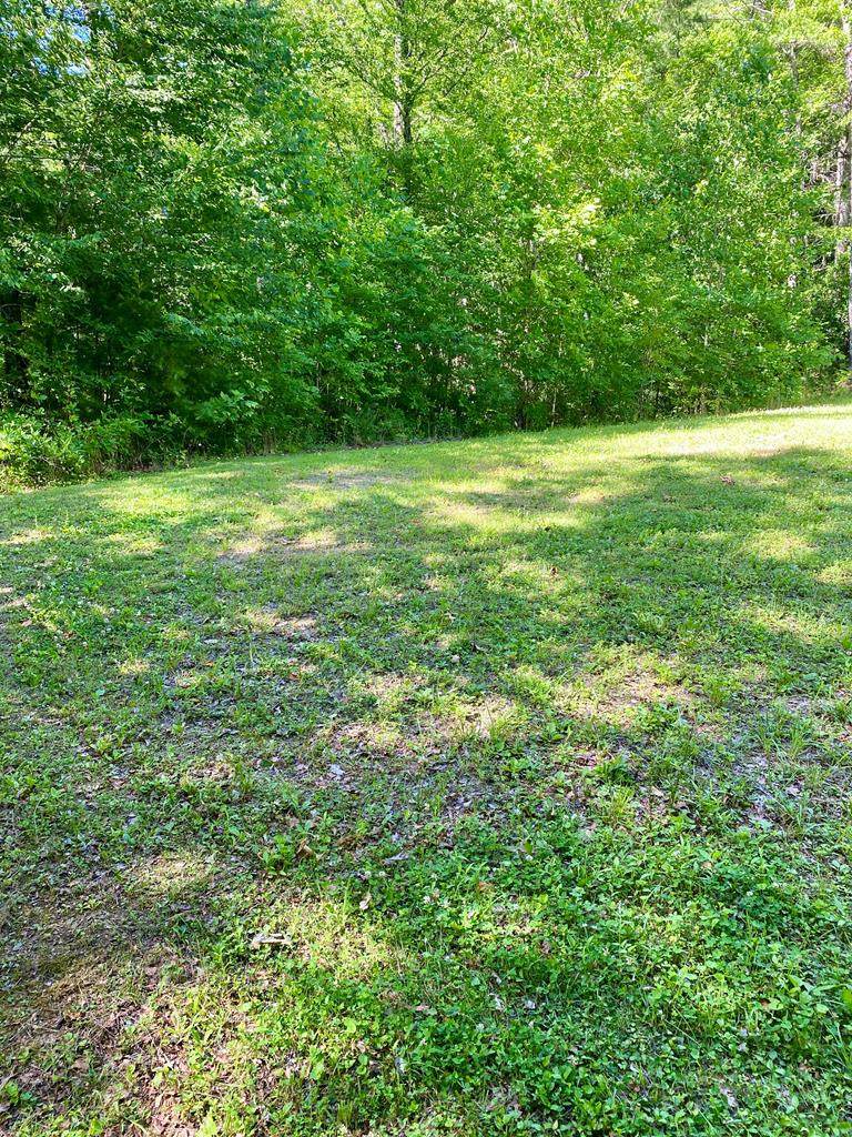 00 Deer Run - Photo 1