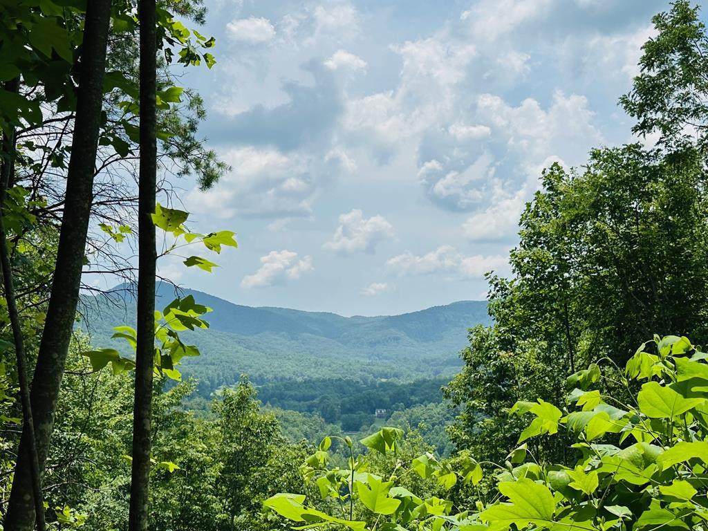 Lot 13 View Ridge Trail - Photo 1